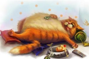 ��-�� ����������� ����� ����� ���������� �����